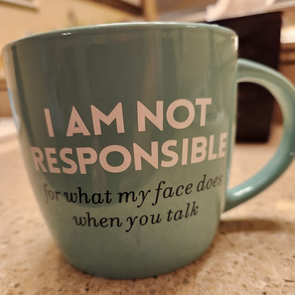 Teal Mug with Humorous Quote